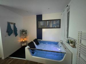 Appartements La Bulle Bleue Jacuzzi : photos des chambres