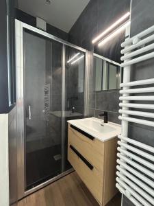 Appartements Lumineux T2 a Grenoble, Calme Et Confortable : photos des chambres