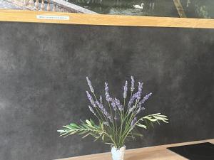 Appartements L-Arche Denim : photos des chambres