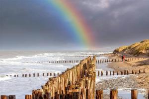 Maisons de vacances La Bicoque petit cocon a deux pas de la plage de wimereux : photos des chambres