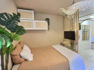 Appartements Le surfeur : photos des chambres