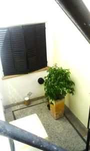 Departamento con Terraza y Parrilla.