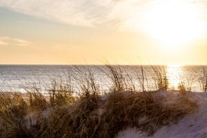 Kuscheliges Sylt Zuhause für 2 Personen
