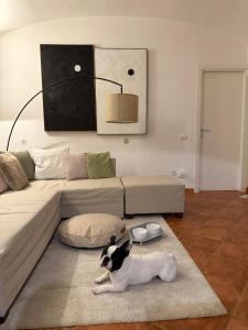 Food Coma Tuscia Stay&Taste