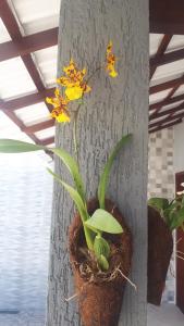 Vila Sunset Saquarema RJ