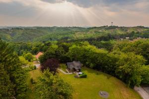 Mini Hill - Tiny House