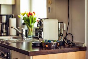 Windrose 9 - Großenbrode