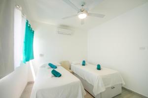 Le Camere Del Maestro