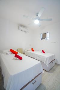 Le Camere Del Maestro