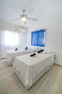 Le Camere Del Maestro