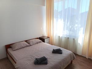 Bliss Point Apartments