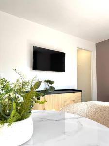 Appartements Studio B5 - Centre-Ville Meaux - Proche Disneyland : photos des chambres