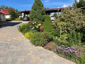 Európa Vendégház Zalaegerszeg