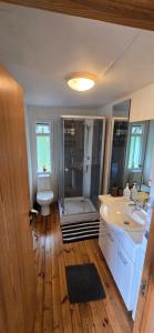 Eyja Mork - Stargazing Igloo with shared Hot Tub, BBQ and kitchen - B3