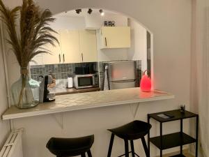 Appartements Alicot superbe T3 Climatisation Internet WiFi Terrasse Coeur historique 70m2 : photos des chambres