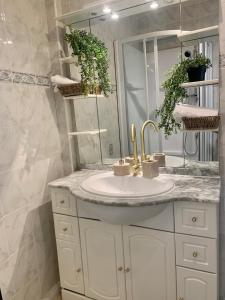 Appartements Alicot superbe T3 Climatisation Internet WiFi Terrasse Coeur historique 70m2 : photos des chambres