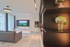 Luxury apartment in Smíchov