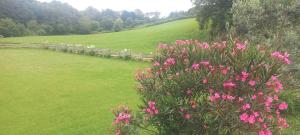 B&B / Chambres d'hotes La Casita de Rose au calme proche plage d'Hendaye - 26 m2 Bien equipe Parking prive Jardin : photos des chambres