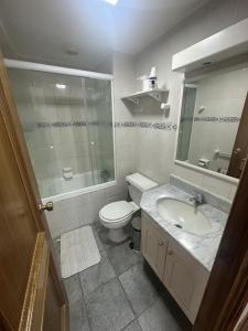 departamento termas de chillan