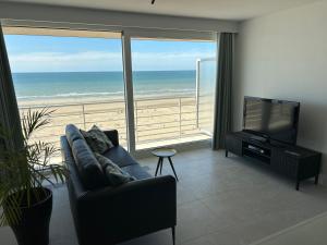 Splendid 8 - Studio - Suite - 45m2