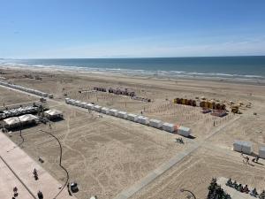 Splendid 8 - Studio - Suite - 45m2