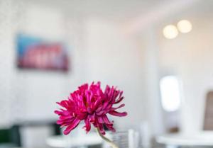 Berlin Central Premium Apartments for Groups