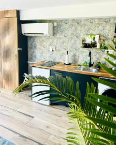 Jungle Love avec Balnéo à 10 min de Disneyland Paris