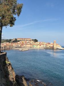 Appartements Collioure Les Roches Bleues Apartment : photos des chambres