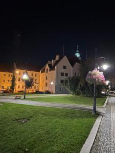 Apartamenty Katedralna Legnica