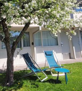 Hotels Brit Hotel Quimper Sud : photos des chambres
