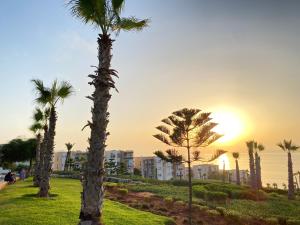 Facing the sea, close to the Corniche
