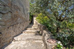 Sumptuous Provencal farmhouse at the foot of the village of Fayence