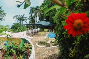 Hostel Plinio
