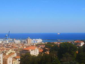 Appartements Le Grand Bleu : photos des chambres