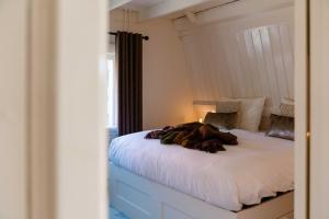 CRASHNSTAY - Julianalaan