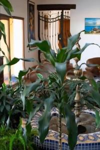 Quinta en Pampatar , Vista al mar