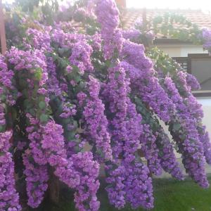 Studio in Privlaka - Zadar Riviera 7840