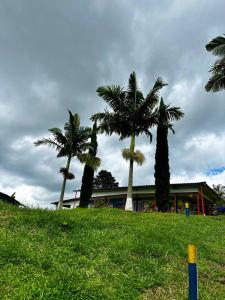 Paisaje Cafetero Hotel Con Piscina y desayuno - Filandia