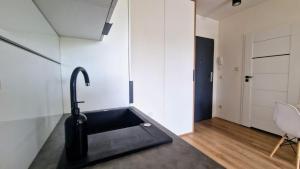 Luxury Apartment with Balcony Ksiezy Mlyn Fuzja