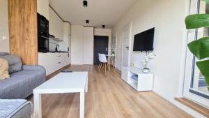 Luxury Apartment with Balcony Ksiezy Mlyn Fuzja