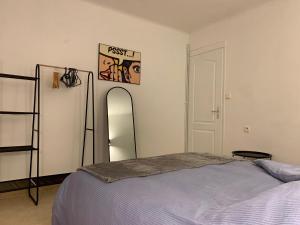 Appartements Alicot superbe T3 Climatisation Internet WiFi Terrasse Coeur historique 70m2 : photos des chambres