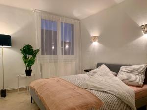 Appartements Alicot superbe T3 Climatisation Internet WiFi Terrasse Coeur historique 70m2 : photos des chambres