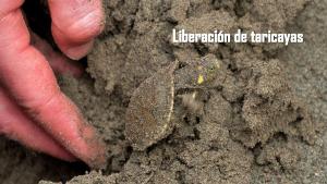 Pacaya Samiria Amazon Lodge -INCLUSIVE