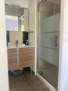 Maisons de vacances Pleasant modern house t4 airco pool jacuzzi parking : photos des chambres