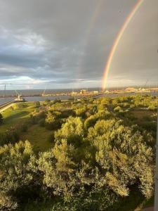 Ocean view flat with cozy vibes