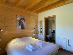 Chalets Chalet 12 pers, jacuzzi, sauna, ski-in, La Rosiere - FR-1-690-27 : photos des chambres