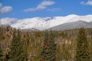 Arrow at Winter Park Unit 202