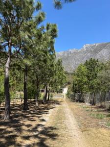 El Encino Cabaña Tiny House