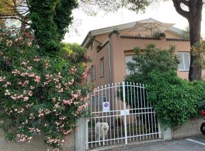 La casa in pineta di fronte al mare