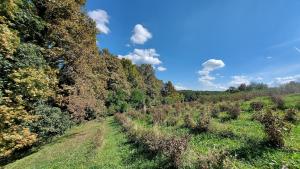 Traditional Croatian Cabins